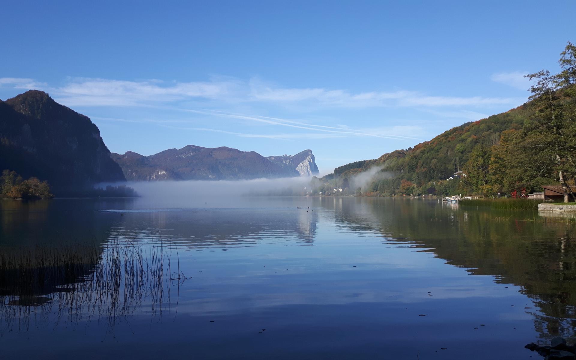 Landschaftsaufnahme Mondsee