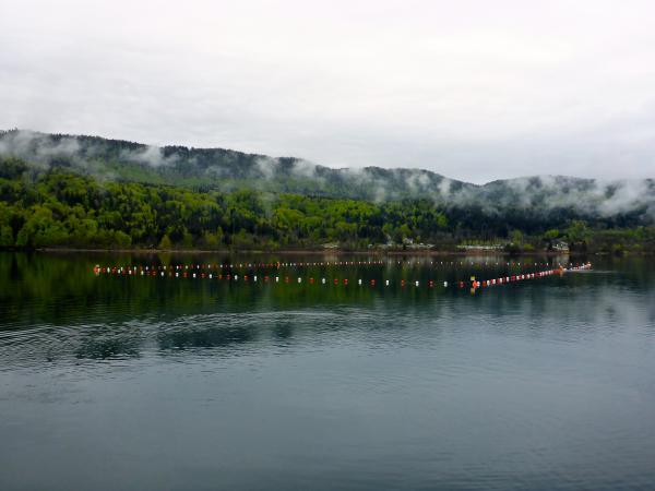 Neue Bojen markieren die UNESCO-Welterbestätte im Keutschacher See 