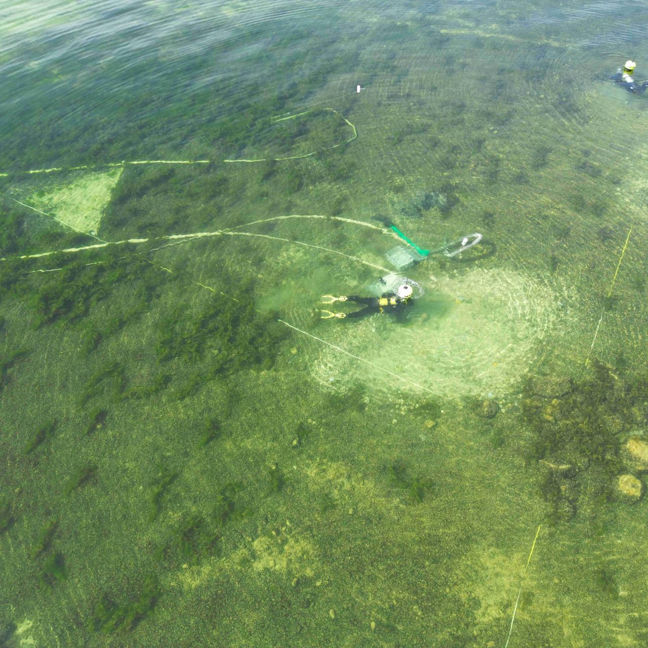 Prospektionen unter Wasser im Traunsee vor dem Naturschutzgebiet Hollereck.