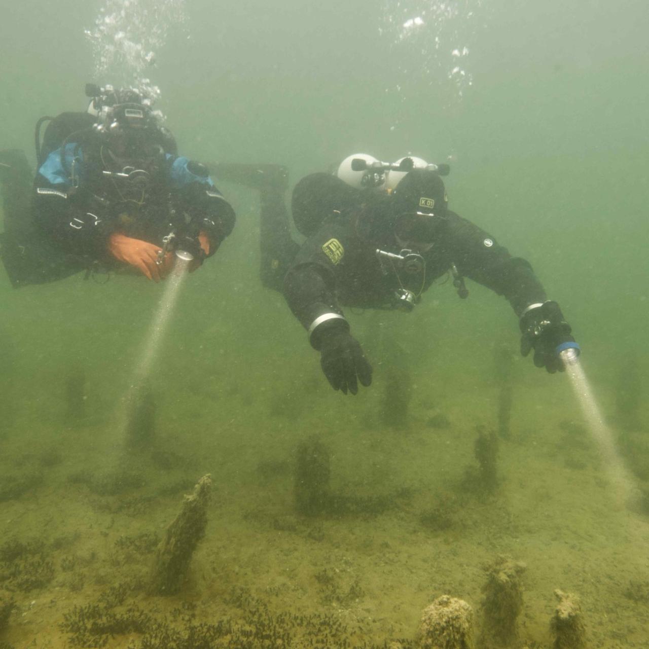 Tauchexkursion Mondsee