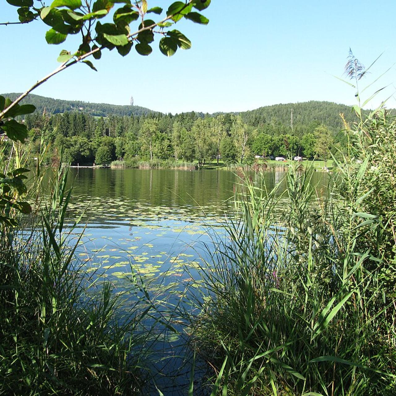 Hafnersee